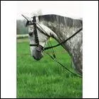 Quel enrnement n'existe pas ?