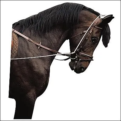 Tiens justement,  quoi servent-t-ils ?