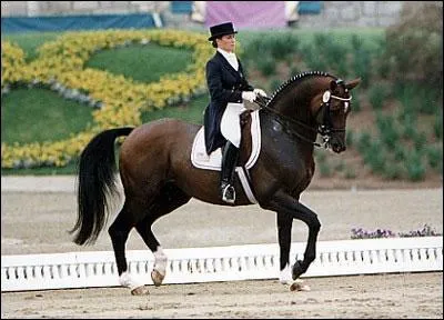 En dressage, il faut monter :