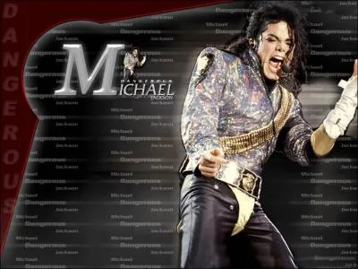 De quelle couleur sont les T-shirts des membres de la scurit qu'on voit rgulirement dans le concert ?