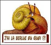 Penser avoir vu quelque chose alors qu'il n'y a rien, c'est :