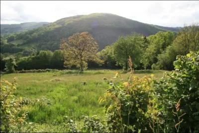 Dans quel massif franais se situe le Haut Folin ?