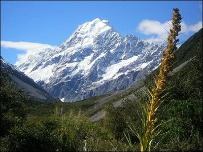 Le Mont Cook culmine  3754m. Mais dans quel pays se trouve-t-il ?
