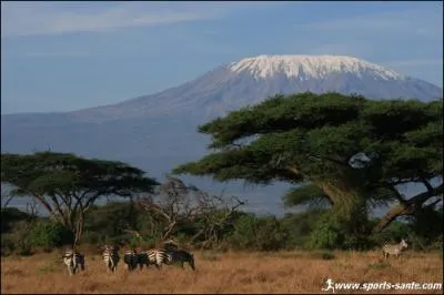 A quelle altitude culmine le Pic Uhuru, sommet du Kilimandjaro ?