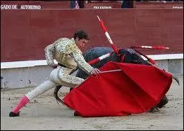Ce leurre en drap rouge agit face au taureau se nomme :