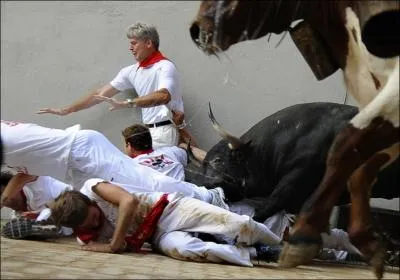 Francis Cabrel en a fait une chanson !