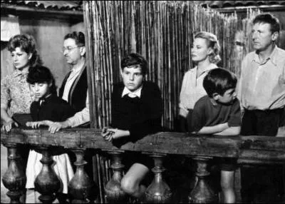 Ce film raconte l'amour impossible entre deux êtres que tout oppose et qui se retrouvent ensemble pour les nécessités de la guerre. La séparation s'avèrera déchirante.