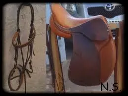 Dans quel ordre prparons-nous notre monture ?