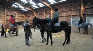 Avant d'entrer dans le mange, quelles prcautions prends-tu ?