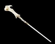 Quelle est sa baguette ?