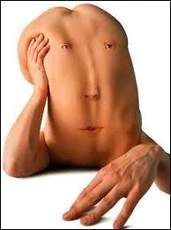 Si ... soit la vue, on ne se voit jamais de dos