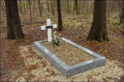 La vie est trop ... pour s'habiller triste.