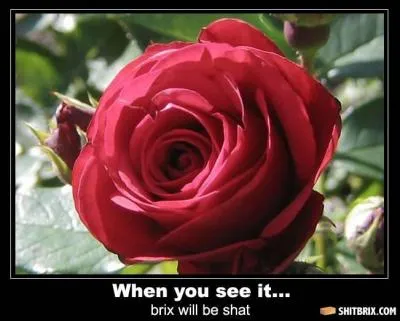 Qu'est-ce qui cloche sur l'image ?