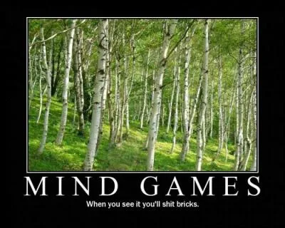 Que voit-on sur l'image ?