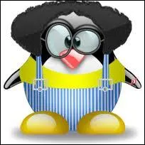 Quel est le titre de son premier sketch ?