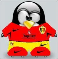 Dans quel championnat de football ce Tux joue-t-il ?