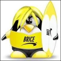 Si vous ne trouvez pas, vous serez  cass  ! Qui est ce surfeur ?