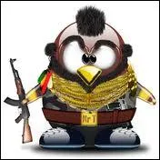 Il a jou dans une srie tlvise des annes 80. Quel est l'autre nom de Mister Tux ?