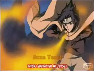 En franais, que veut dire la technique :  Katon - Kary Endan  ?