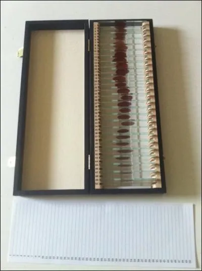 Dans quelle srie la bote  trophes est-elle un objet culte ?