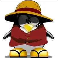 Qui veut devenir le roi des pirates ?