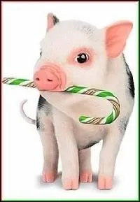 Comment dit-on 'cochon', en anglais ?