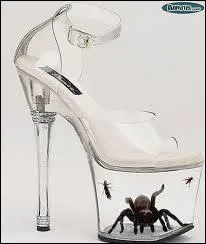 Certes la mode est par essence crative, mais l on peut quand mme plaindre l'animal ainsi emprisonn, qui est ?