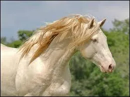 Quelle est cette robe ?