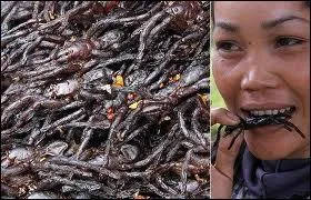 2, 5 milliards d'humains sur notre plante consomment dj quotidiennement des insectes, scorpions et araignes. Nous ingurgitons 500 grammes d'insectes par an  notre insu dans des conserves.