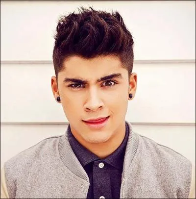 De quelle origine est Zayn ?