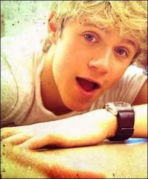 De quoi Niall a-t-il peur ?