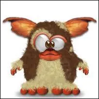 Comment s'appelle ce mogwa ?