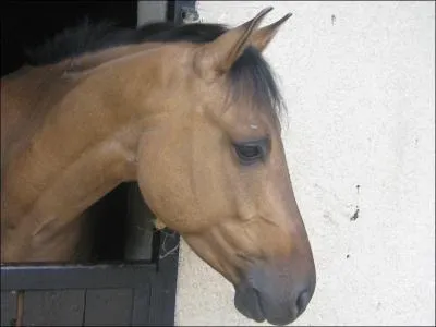 Avant de monter, on :