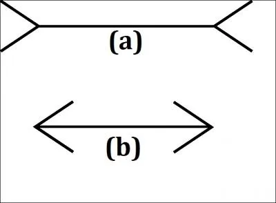 Regardez bien ces deux flches, laquelle est la plus longue ?