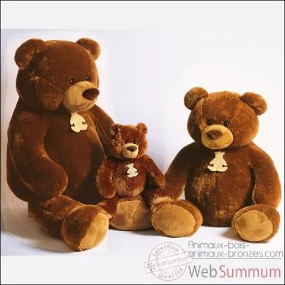 Quelle est la couleur de cet ours ?