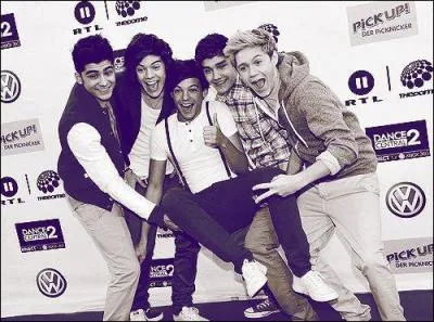 Quels ges ont les membres de One Direction ?