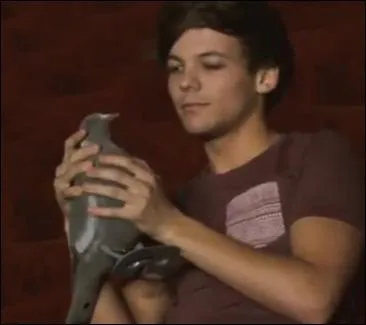 Comment s'appelle le pigeon que Louis a dans une vido  diary  ?