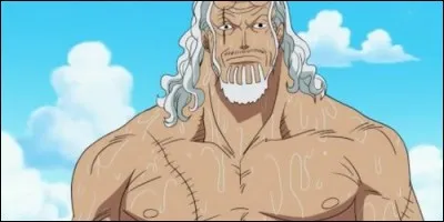 Rayleigh a mangé un fruit du démon.