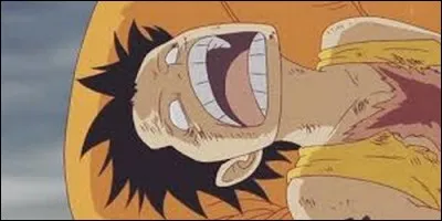 Après la bataille de Marine Ford, qui transporte Luffy afin de le soigner ?