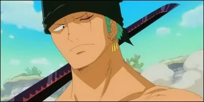 Qu'arrive-t-il à Zoro pendant leur séparation ?