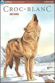 Au dbut du roman de Jack London,  qui appartient Croc Blanc ?