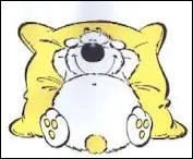 A qui allez-vous rapporter Cubitus ?