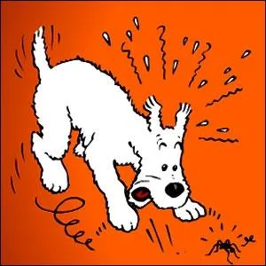 Qui peut bien chercher son chien Milou ?