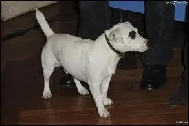 Adeck court sur le plateau, Qui cherche-t-il ?