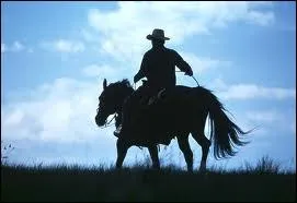 Quatre films pour un acteur ou une actrice : ''Les Trois Jours du Condor'' , ''Brubaker'' , ''Out of Africa'' , ''Havana'' .