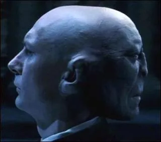 Dans le tome 1 Voldemort a-t-il un corps ?