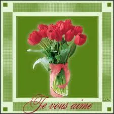 Dans le langage des fleurs, que symbolise la tulipe ?