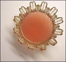 Qu'est ce que le Kissel ?