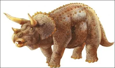 Quel est cet animal ?