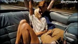 Qui chante  Seek Bromance  ? (2011)